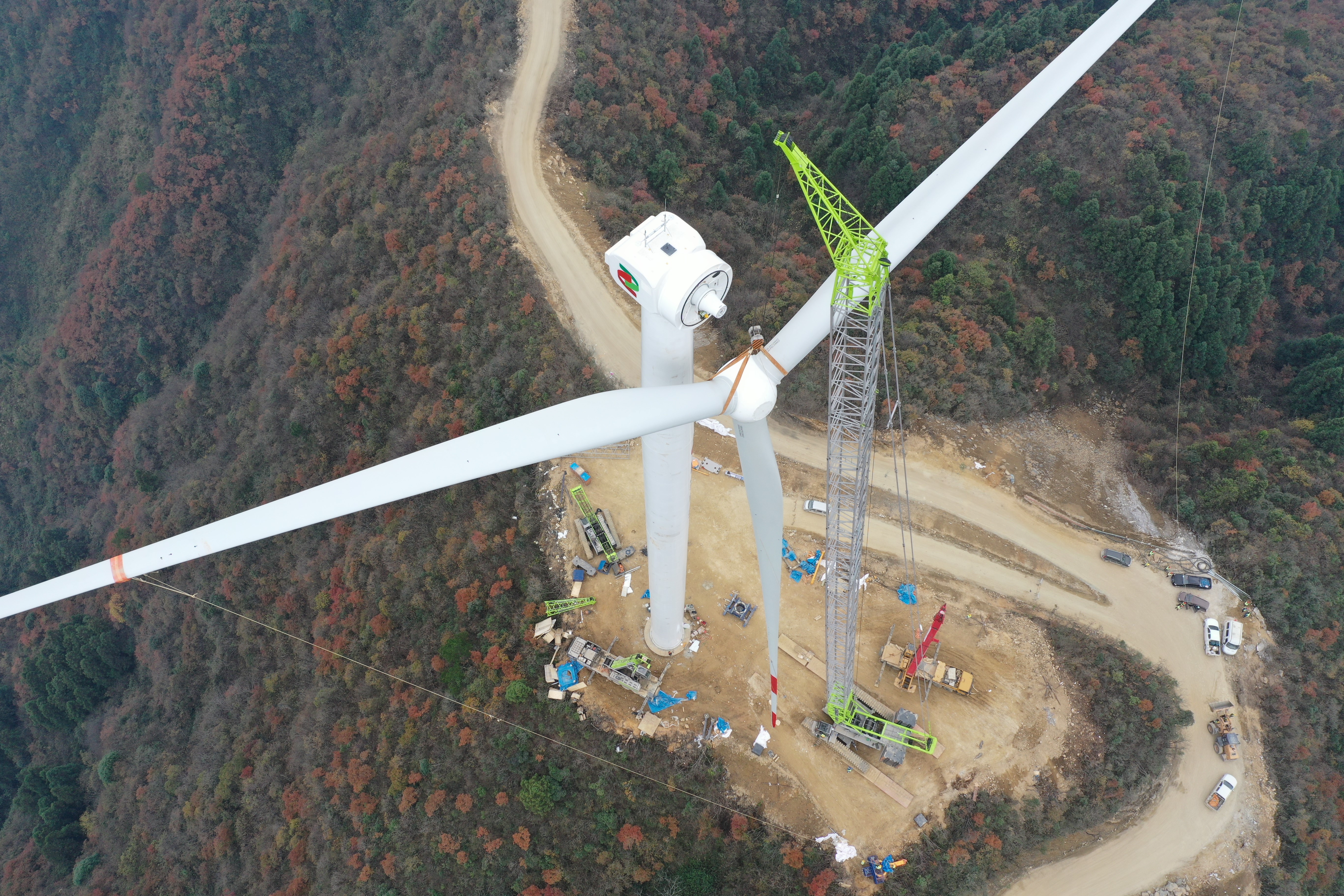 图片1.jpg 图片1.jpg